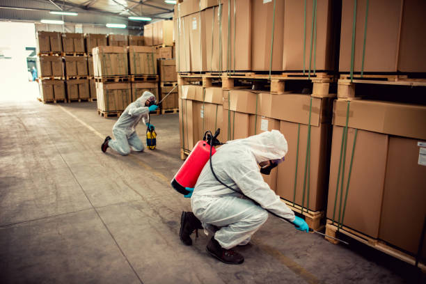 Best Affordable Pest Control Services  in Elmhurst, IL