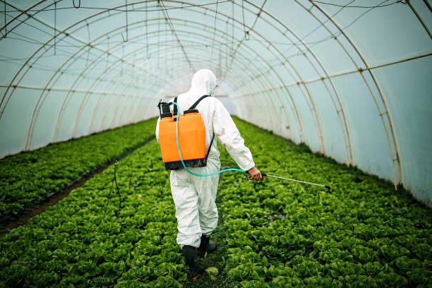 Best Mosquito Control Services  in Elmhurst, IL