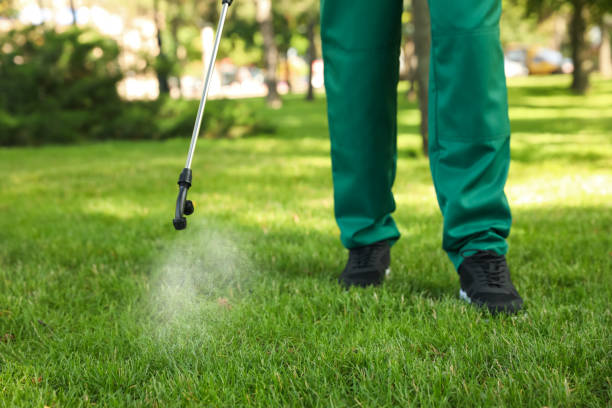 Best Affordable Pest Control Services  in Elmhurst, IL