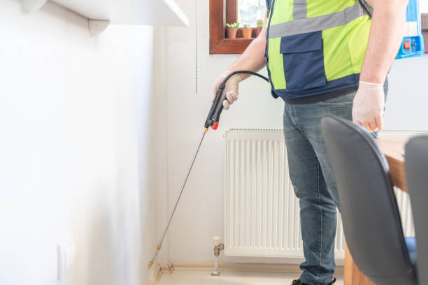 Best Termite Control Services  in Elmhurst, IL