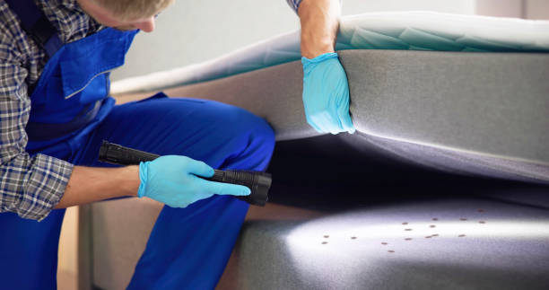  Elmhurst, IL Pest Control Pros
