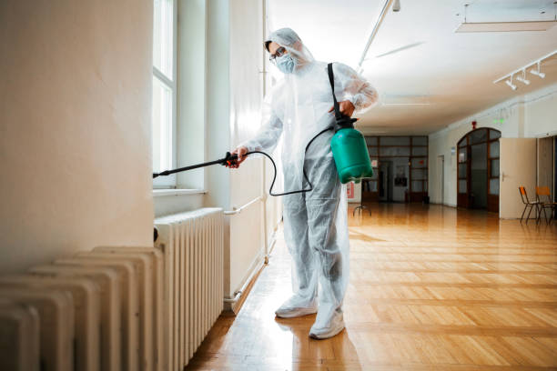 Flea Control Services in Elmhurst, IL
