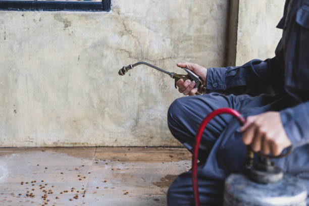 Reliable Elmhurst, IL Pest Control Solutions